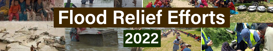 flood-2022